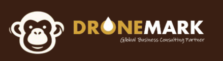 Dronemark International Logo